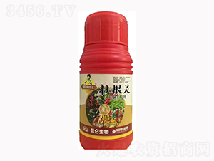 中藥材壯根靈-愛普達