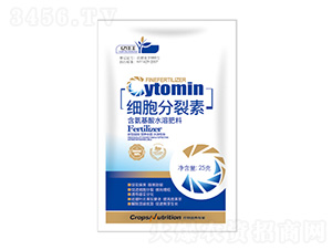 ����������-�|���S 