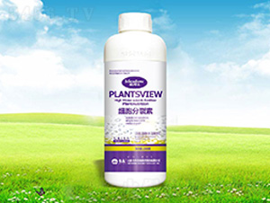 ����������-���� 