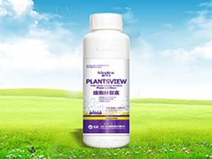 500�˼���������-���� 