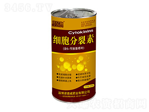 ����������-���|ʩ-�Z���� 