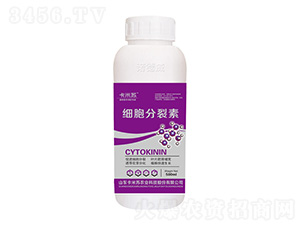 500ml����������-�Z���� 