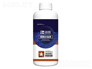 ����������-��ֲ-���w�~�� 