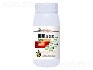 ����������-�欔-�ʰl(f��)���� 