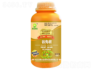 含氨基酸水溶肥料-谷先收-奧農(nóng)生物