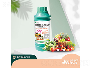 ����������-�A���� 