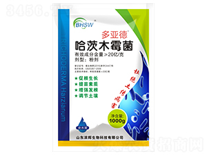 ����ľù��-������-�I�x����