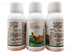 24%������ݬȥ��ɷ�ɢ�͑Ҹ���-���z��-������