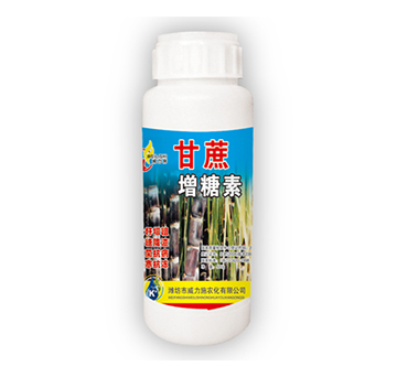 ����������-����ʩ