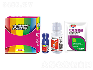 白龜太陽(yáng)神-白龜生物