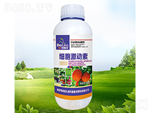 ����������-������ 