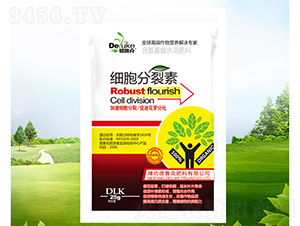 ����������(��)-������ 