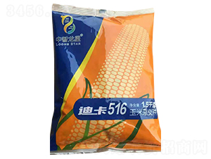 迪卡516-玉米種子-中智龍星