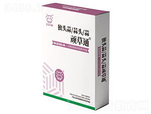 ���^���B��ͨ-���A����