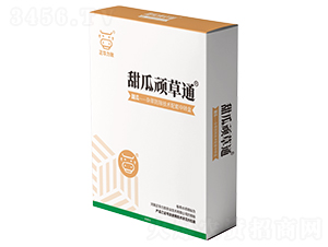 ����B��ͨ-���A����