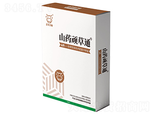 ɽˎ�B��ͨ-���A����