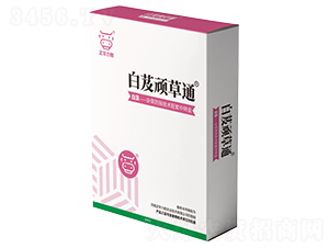 ��ܸ�B��ͨ-���A����