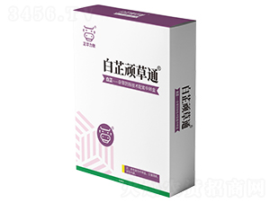 �����B��ͨ-���A����