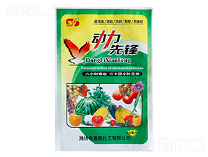 動(dòng)力先鋒-亞東化工