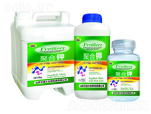 ��һԪ�ط���-�ۺ��-�ֵϾ� 