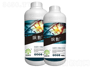 �ӏ��͡�����������-�SӰ-�r(n��ng)ʥ�� 