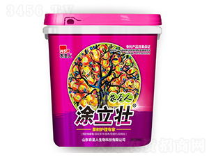 ����(sh��)�o(h��)�팣��-Ϳ����-�r(n��ng)ʥ��