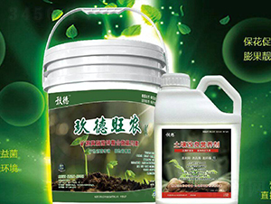 ���������I�B(y��ng)��-�������r(n��ng)-�������B(t��i)