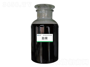 膨果-漢彩生態(tài)