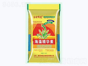 ���徫�A��-��ؔ(c��i)�е�-�������� 