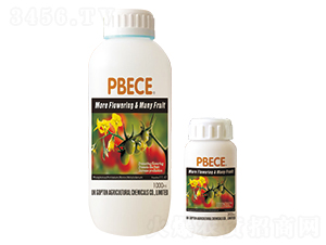 �M������ ��������-������ˮ���~����طN��-��ɪ�� 