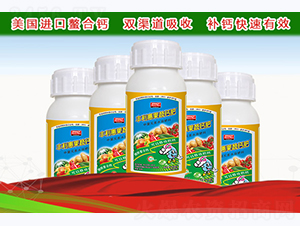 �S���ݹ����}��-�º��S