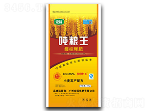 ����ጷ�-���Z��-�긣����