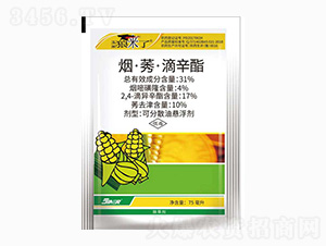 31%����ݬ���ή�����-�����ǁ�(l��i)��-���r(n��ng)��