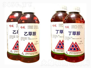 50%�Ҳݰ�+50%���ݰ�-�ǔ�-����ꖹ�