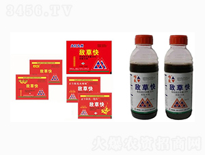 20%���ݿ�ˮ��-��t����-����ꖹ�