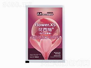 �����ھ���-����ʩ-������A