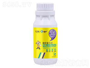 �Ǵ������V�����a�V��-��СѾ-�_������