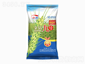 ���@��̖��С���N�ӣ�-���r(n��ng)�N�I(y��)