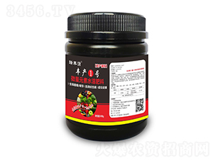 微量元素水溶肥料-豐產(chǎn)1號(hào)-瑞邦化工