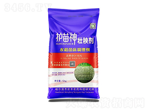 �o������턩-�Pʩ������