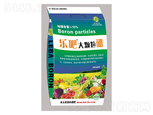 1000g��(l��)�ɴ��w���𣨷ۄ���-���(y��ng)��