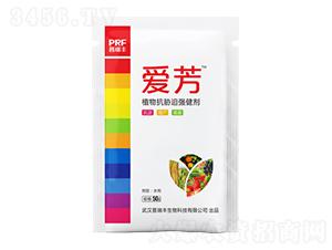 ֲ�￹�{�ȏ�����-�۷�-�����S