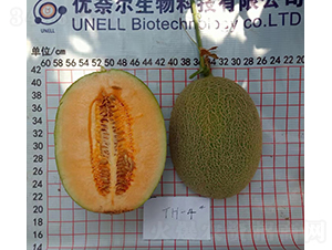 ��Ƥ����۸���-��ϷN��-��(y��u)�Π�����