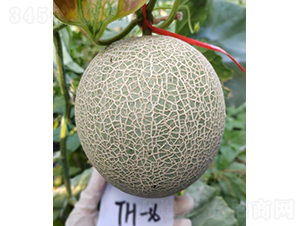 ��Ƥ��������-��ϷN��-��(y��u)�Π�����