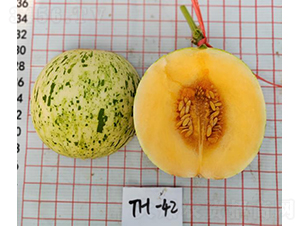 �t���������(y��ng)-��ϷN��-��(y��u)�Π�����