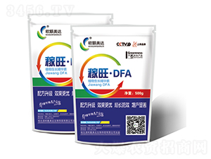 ������DFA-�W(li��n)���_