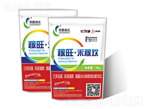 �������̼ښg-�W(li��n)���_