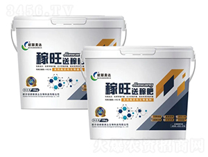 歐聯(lián)美達·稼旺-歐聯(lián)美達