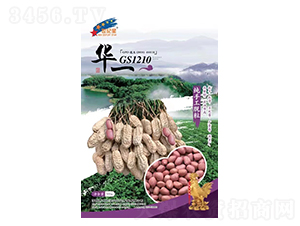 GS1210-�����N��-�Aһ�N�I(y��)