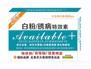 �׷����P����Ч��-�����r(n��ng)��